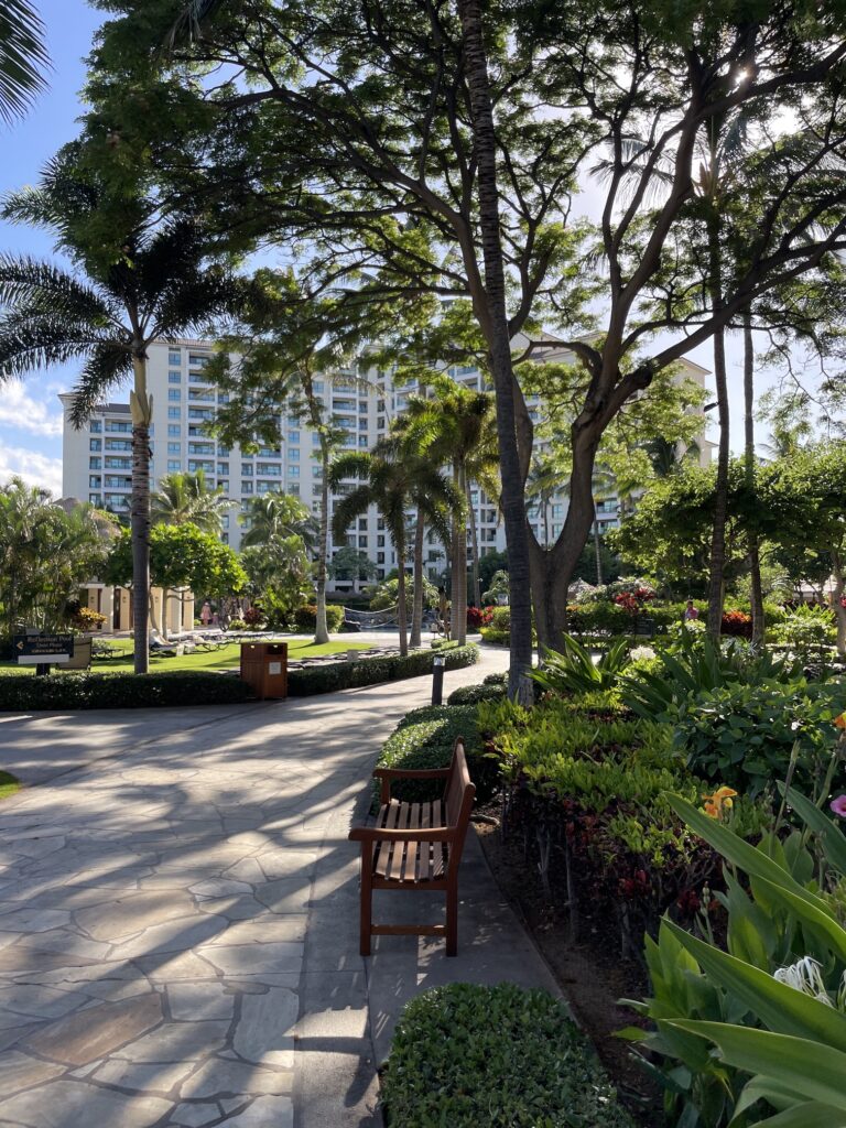 Review & Video | Marriott Ko Olina Beach Club An Amazing Location Hawaii Calling a park with a bench and trees and buildings