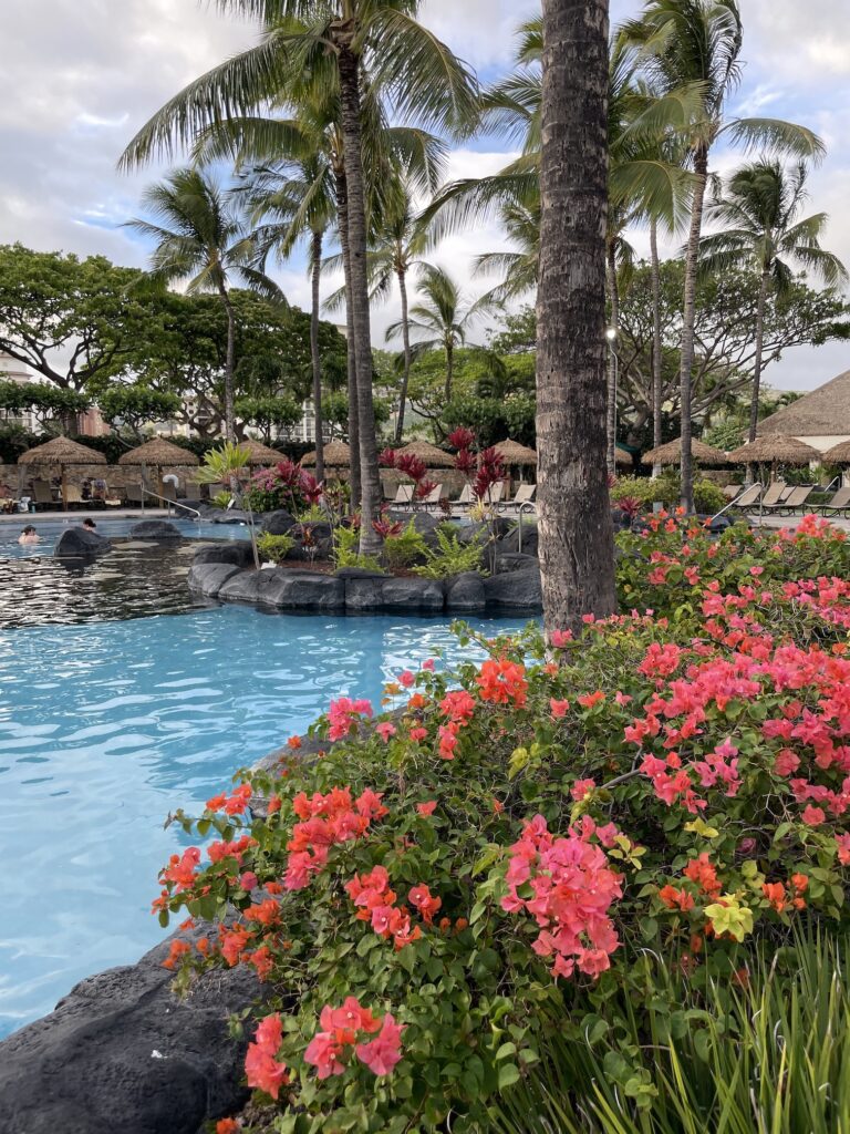 Review & Video | Marriott Ko Olina Beach Club An Amazing Location Hawaii Calling a pool with palm trees and flowers
