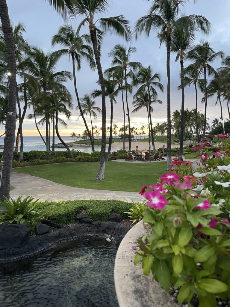 Review & Video | Marriott Ko Olina Beach Club An Amazing Location Hawaii Calling a garden with palm trees and a pool