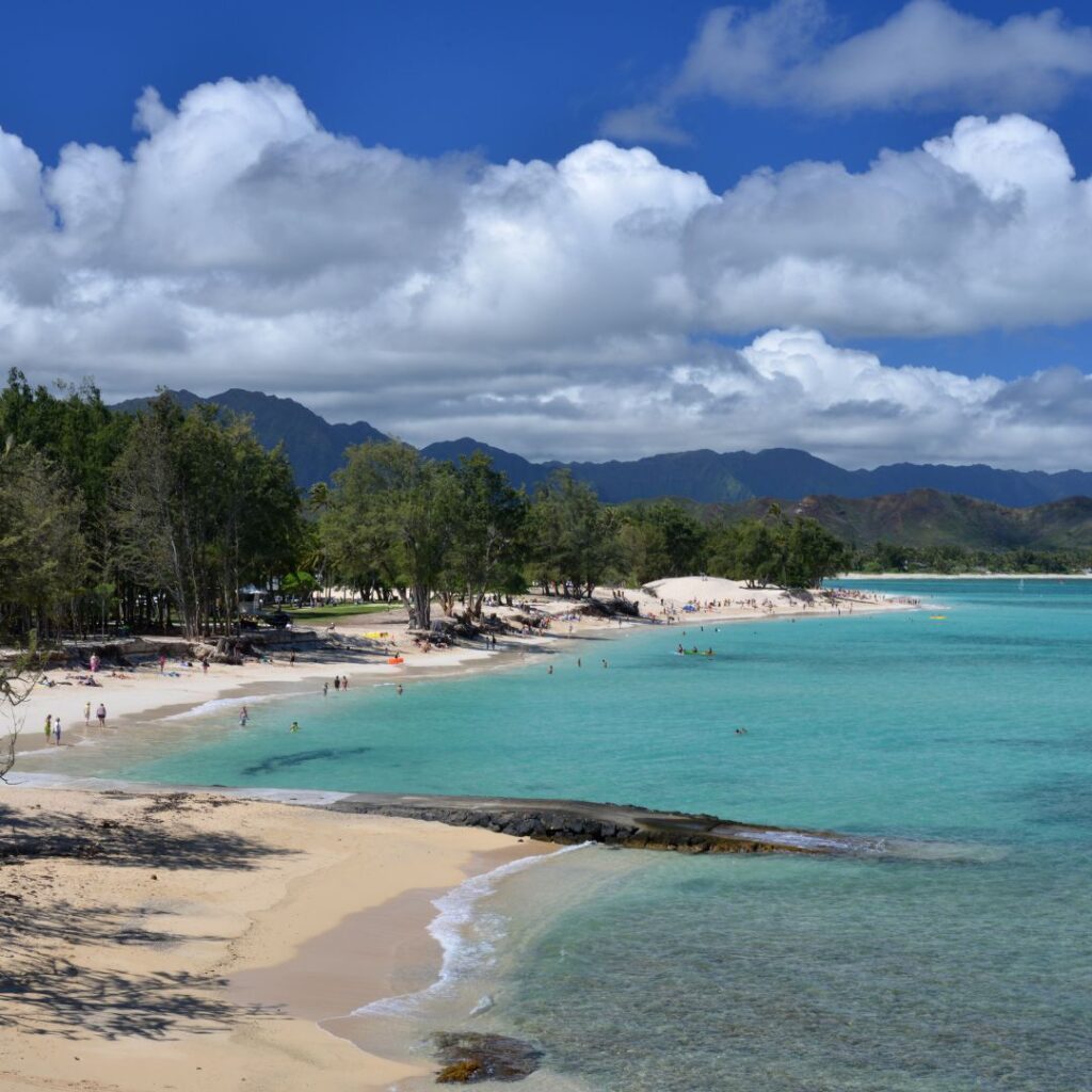The 41 Best Things To Do On Oahu | Bucket List Guide (2025) Hawaii Calling a beach with trees and water