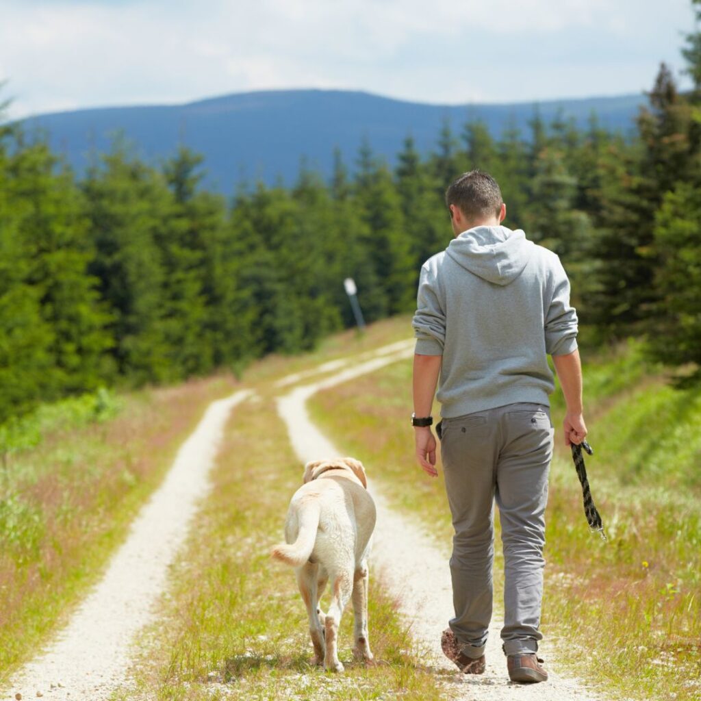 The 30 Best Things To Do On Kauai | A Bucket List Guide (2025) Hawaii Calling a man walking a dog on a path