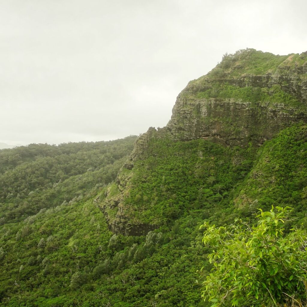 The 30 Best Things To Do On Kauai | A Bucket List Guide (2025) Hawaii Calling a green mountain with trees