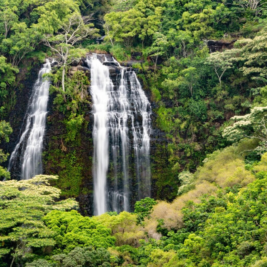 The 30 Best Things To Do On Kauai | A Bucket List Guide (2025) Hawaii Calling Devon Falls in the forest