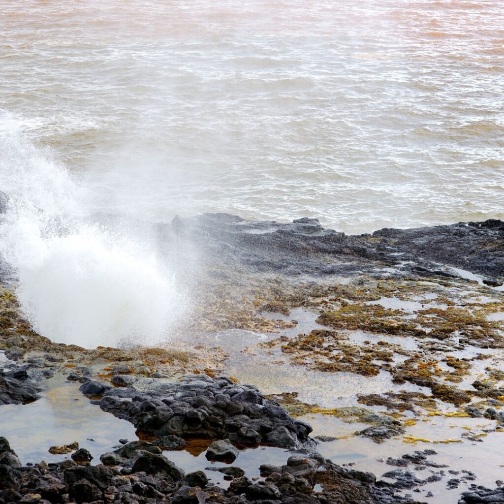 The 30 Best Things To Do On Kauai | A Bucket List Guide (2025) Hawaii Calling a water splashing out of a hole on a rocky shore