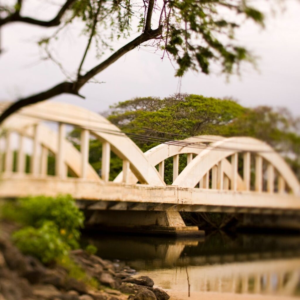 Oahu Tour Crowned Number One on TripAdvisor's Global 2023 Best of the Best Hawaii Calling a bridge over water with trees and rocks