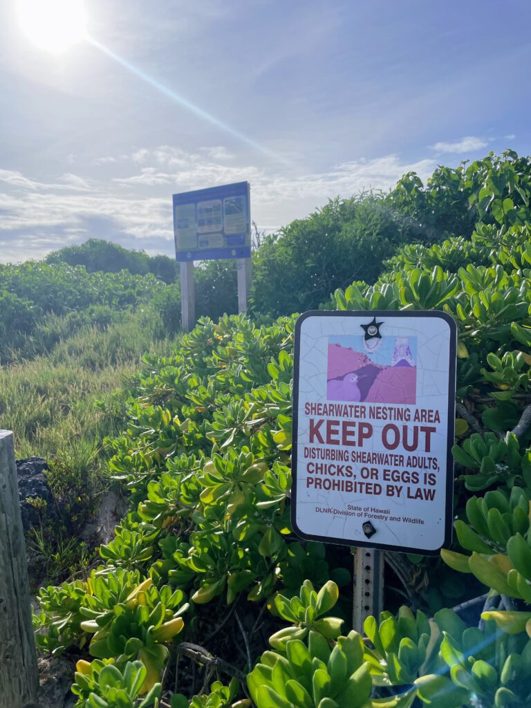 Exploring The Hidden Moku'auia Bird Sanctuary "Goat Island" Hawaii Calling a sign on a pole