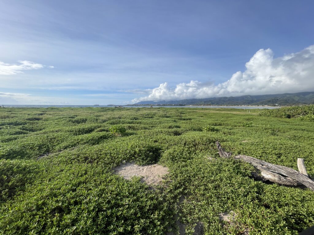 Exploring The Hidden Moku'auia Bird Sanctuary "Goat Island" Hawaii Calling a green field with a beach and mountains in the background