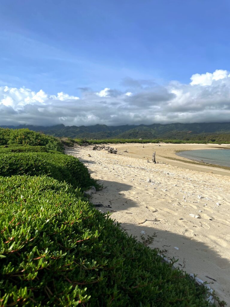 Exploring The Hidden Moku'auia Bird Sanctuary "Goat Island" Hawaii Calling Secluded beach at Moku'auia