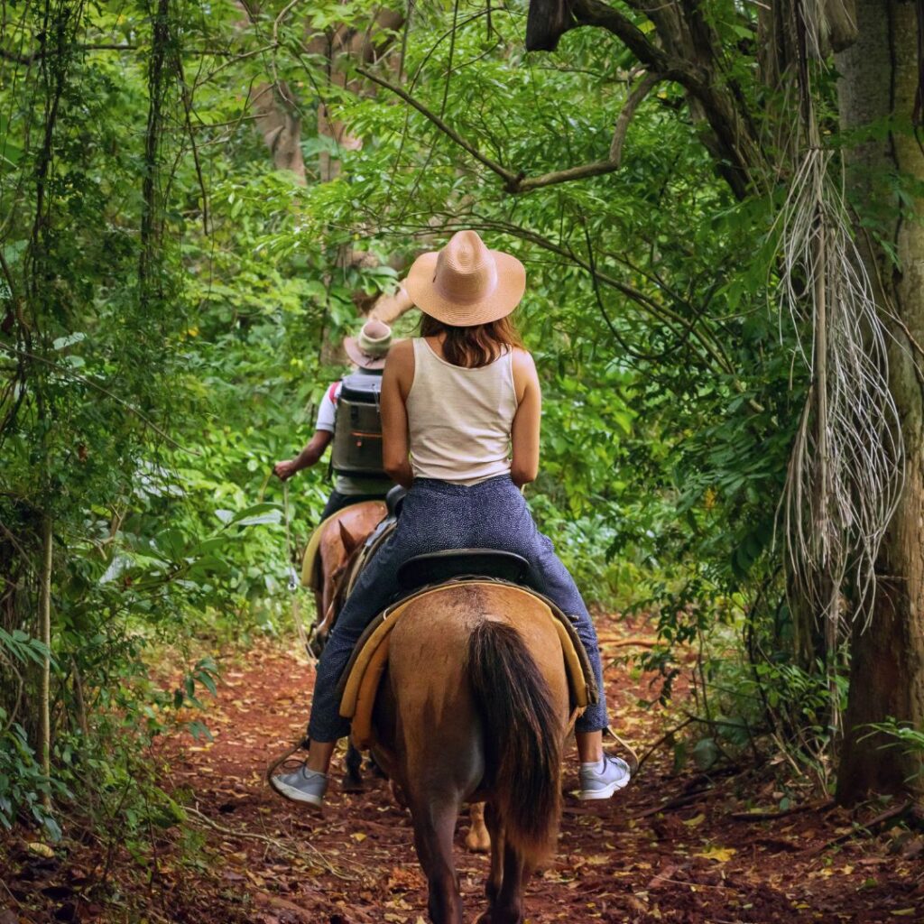 The 26 Best Things To Do On Maui | Bucket List Guide (2025) Hawaii Calling a woman riding a horse through the woods