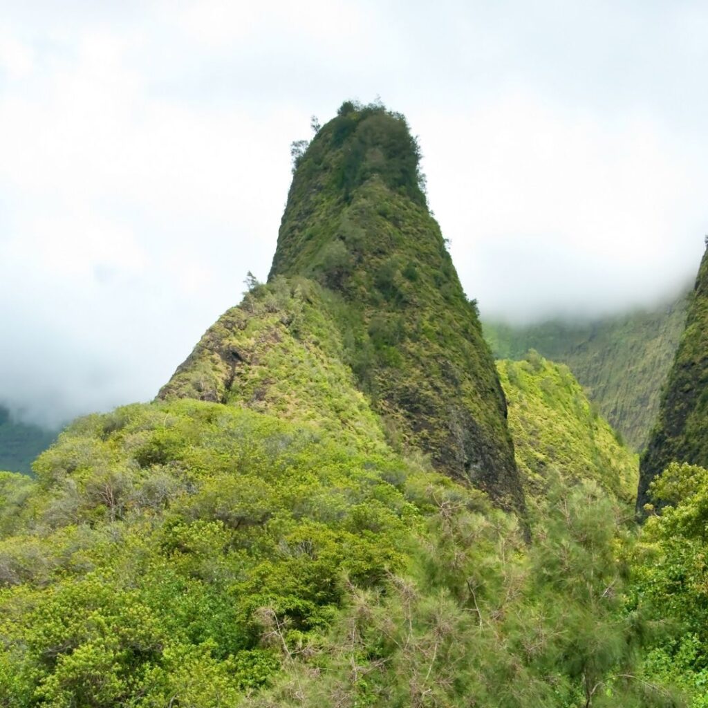 The 26 Best Things To Do On Maui | Bucket List Guide (2025) Hawaii Calling a mountain with trees and bushes