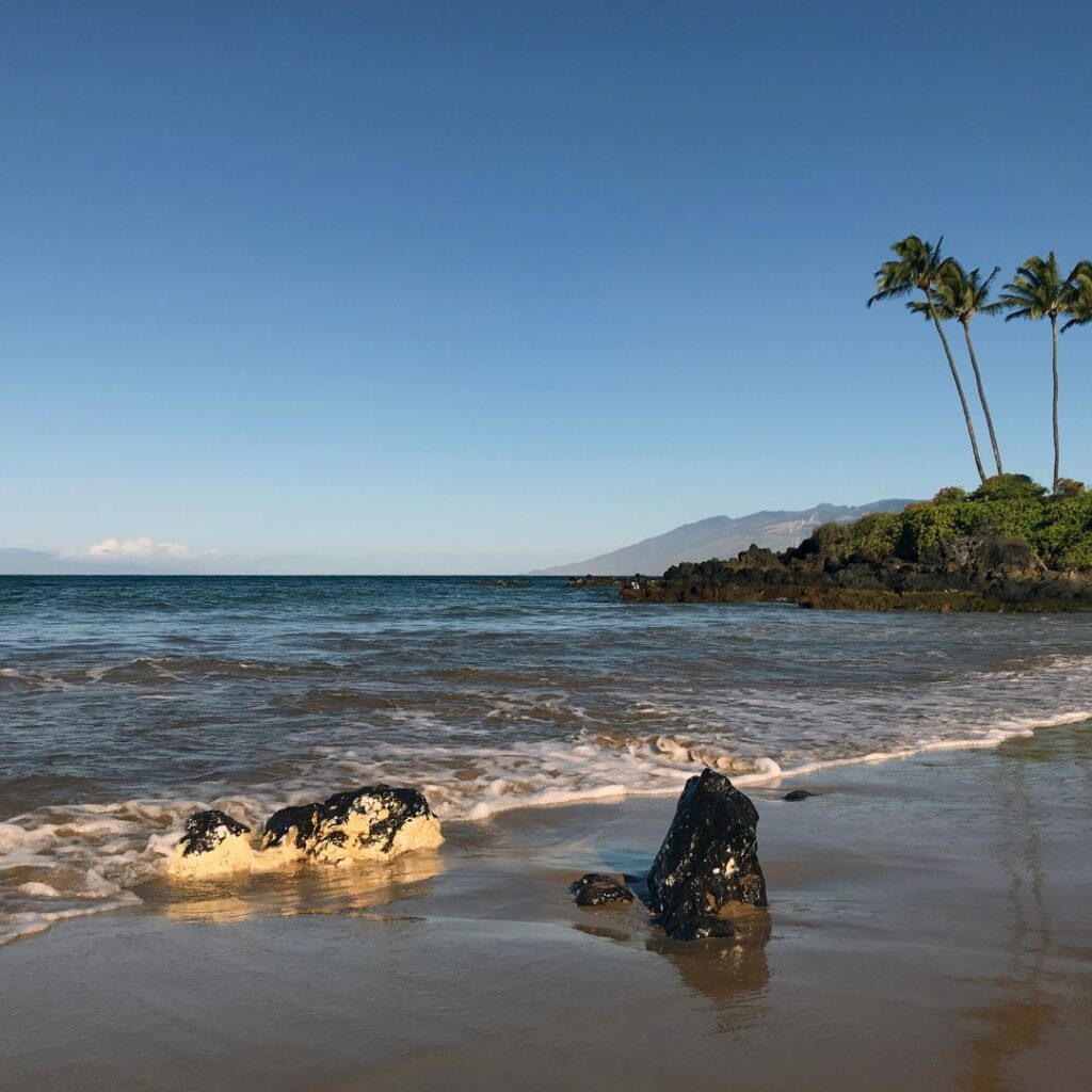 Snorkeling on Maui: The Ultimate Guide To 27 Amazing Spots Hawaii Calling a beach with palm trees and rocks