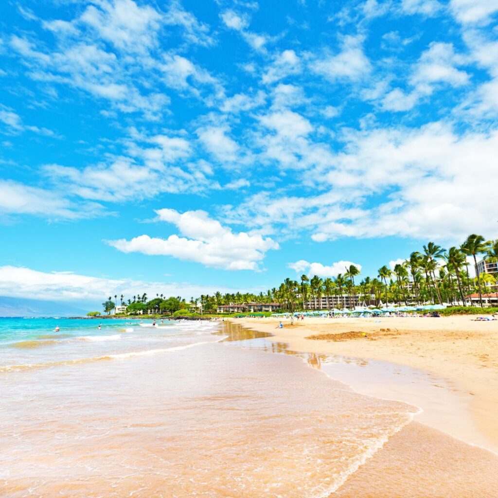 Snorkeling on Maui: The Ultimate Guide To 27 Amazing Spots Hawaii Calling a beach with palm trees and blue water