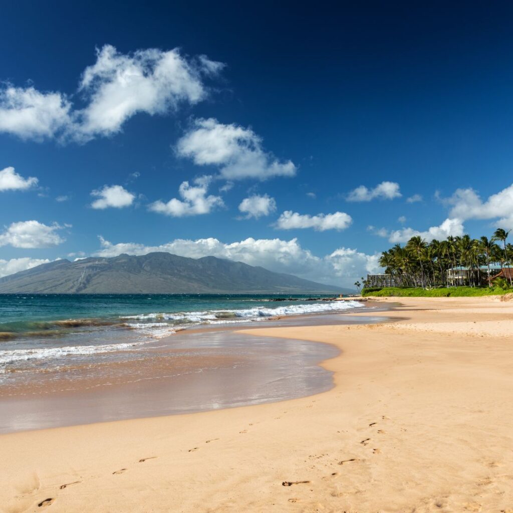Snorkeling on Maui: The Ultimate Guide To 27 Amazing Spots Hawaii Calling a sandy beach with palm trees and a mountain in the background