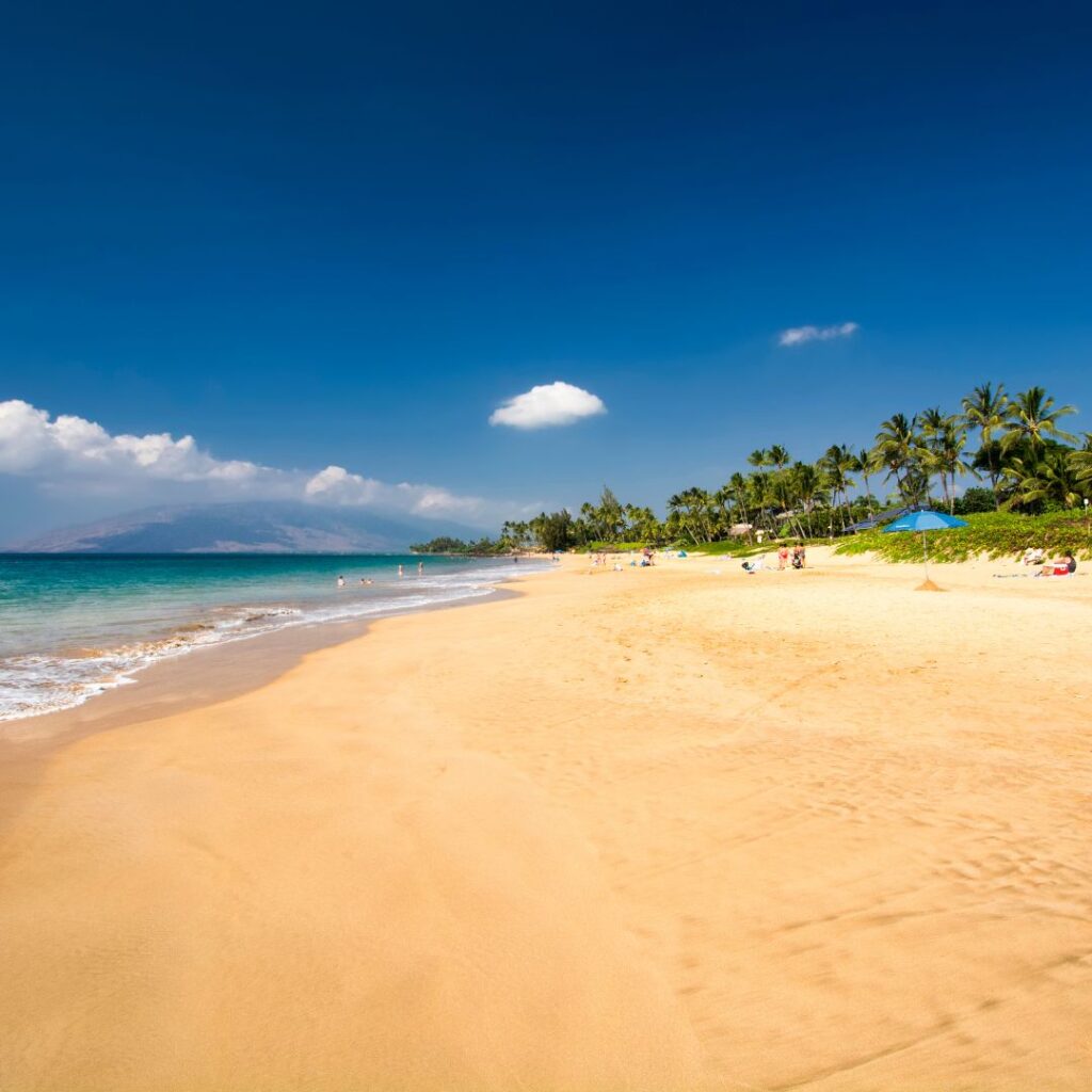 Snorkeling on Maui: The Ultimate Guide To 27 Amazing Spots Hawaii Calling a sandy beach with palm trees and blue water