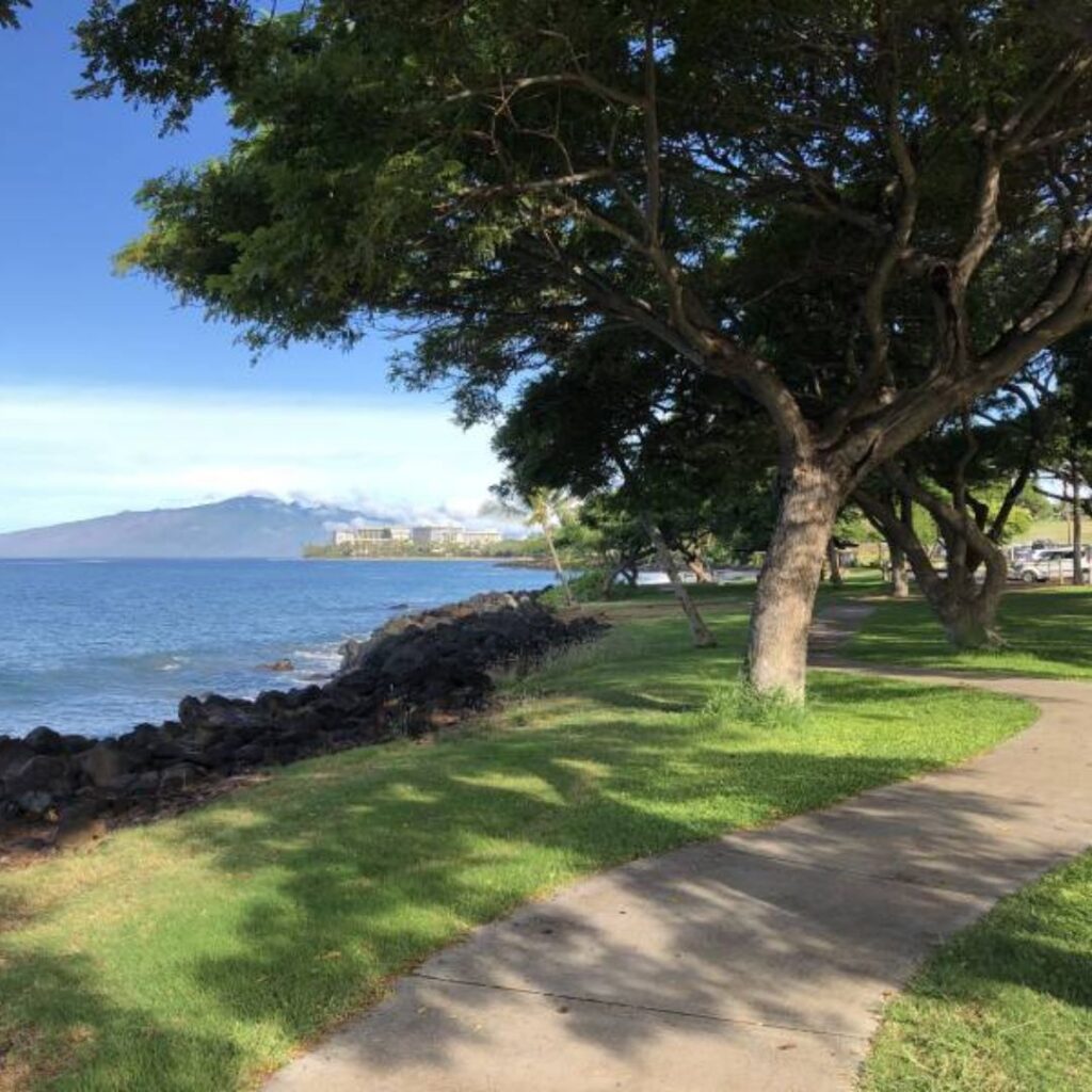 Snorkeling on Maui: The Ultimate Guide To 27 Amazing Spots Hawaii Calling a path next to a body of water