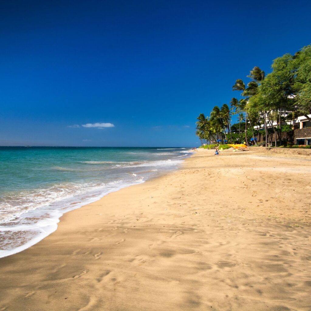 Snorkeling on Maui: The Ultimate Guide To 27 Amazing Spots Hawaii Calling a beach with trees and houses