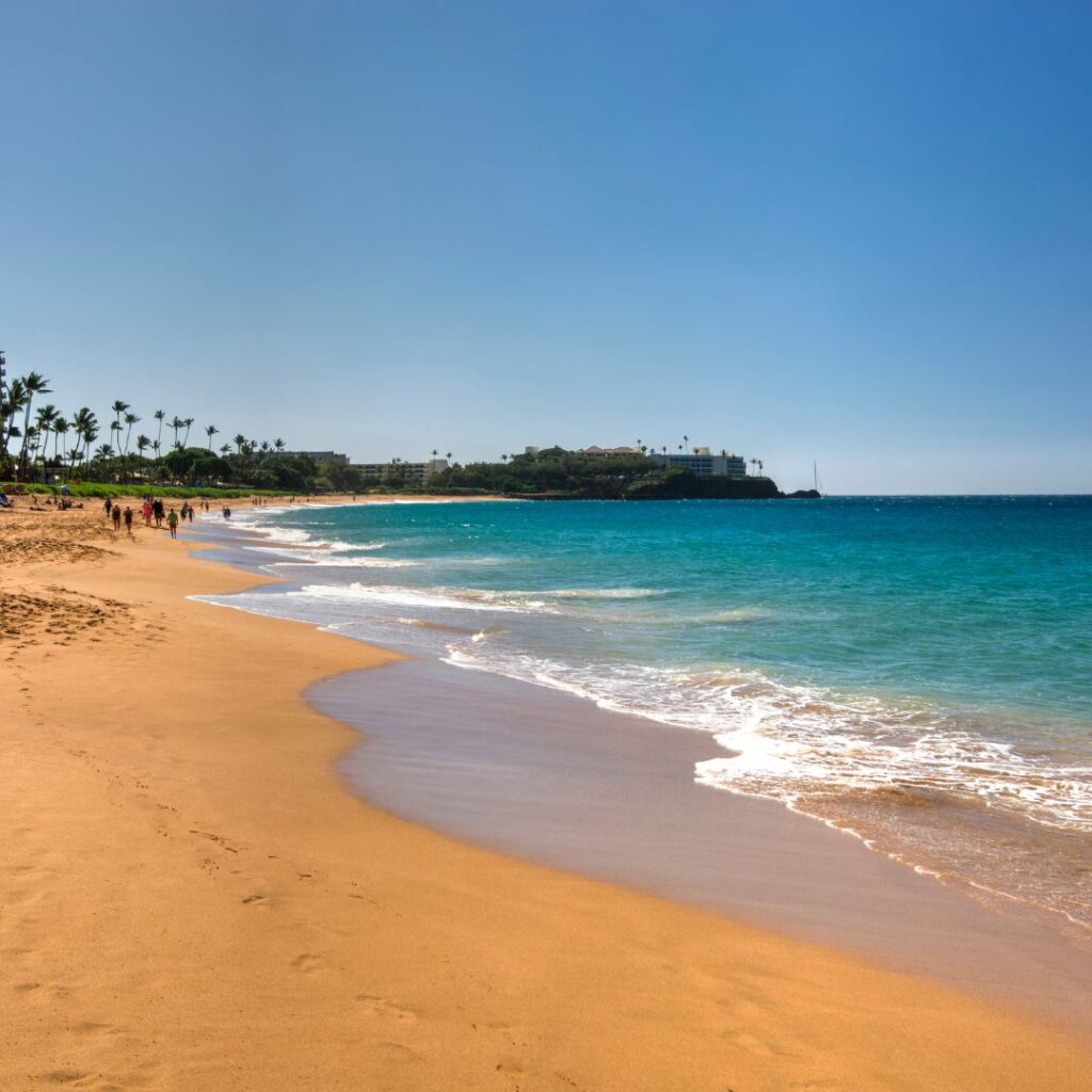 Snorkeling on Maui: The Ultimate Guide To 27 Amazing Spots Hawaii Calling a beach with people walking on the sand