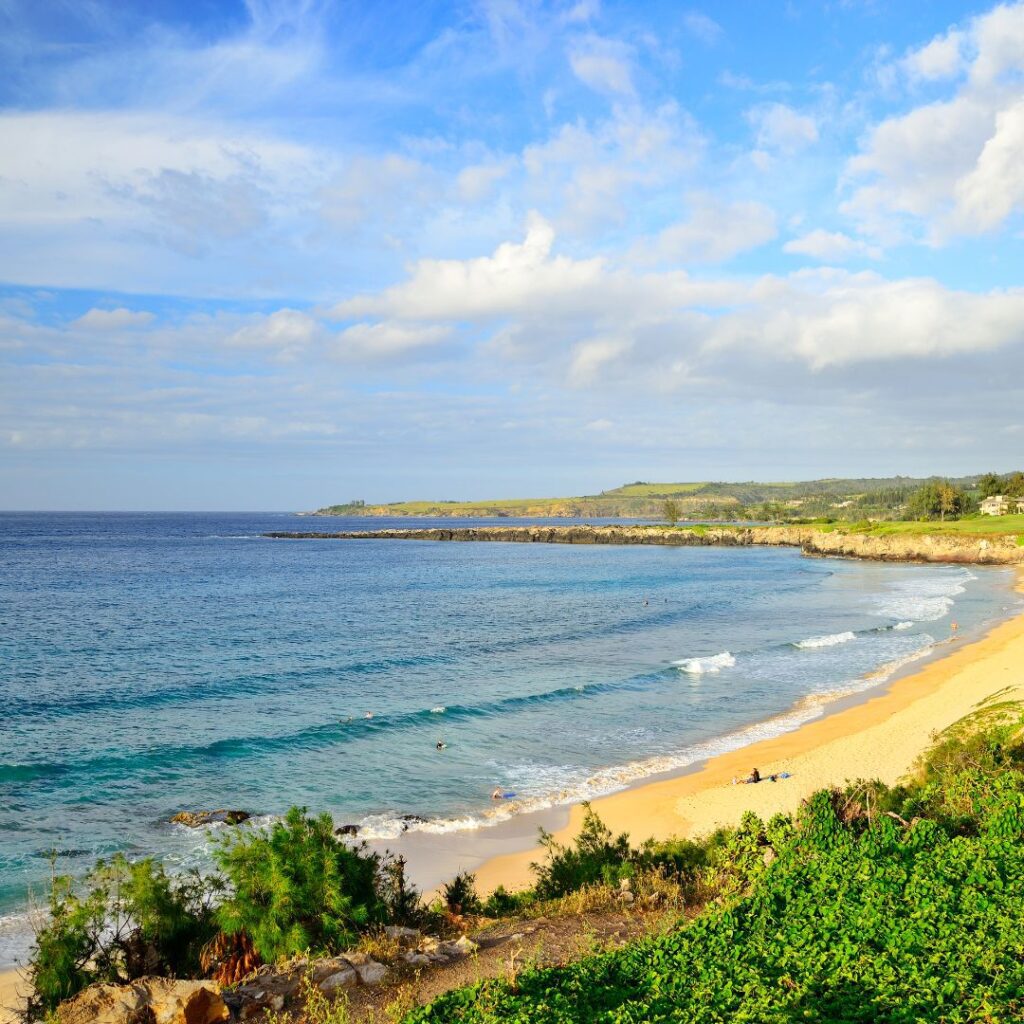 Snorkeling on Maui: The Ultimate Guide To 27 Amazing Spots Hawaii Calling a beach with a body of water and trees