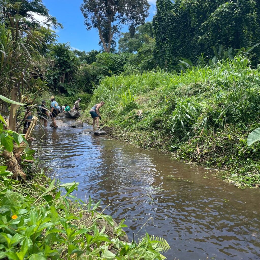 Why Volunteering at Papahana Kuaola Should Be on Your Bucket List Hawaii Calling a group of people in a stream