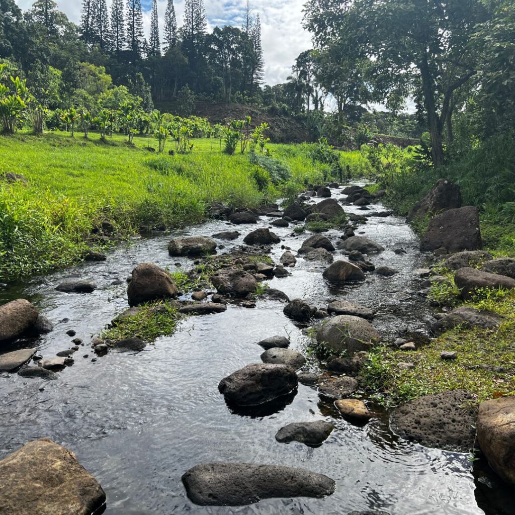 Guide to Volunteering on Oahu: 14 Unforgettable Ways to Give Back Hawaii Calling View of the river flowing through Papahana Kuaola, this is one of the best places to go volunteering on Oahu.