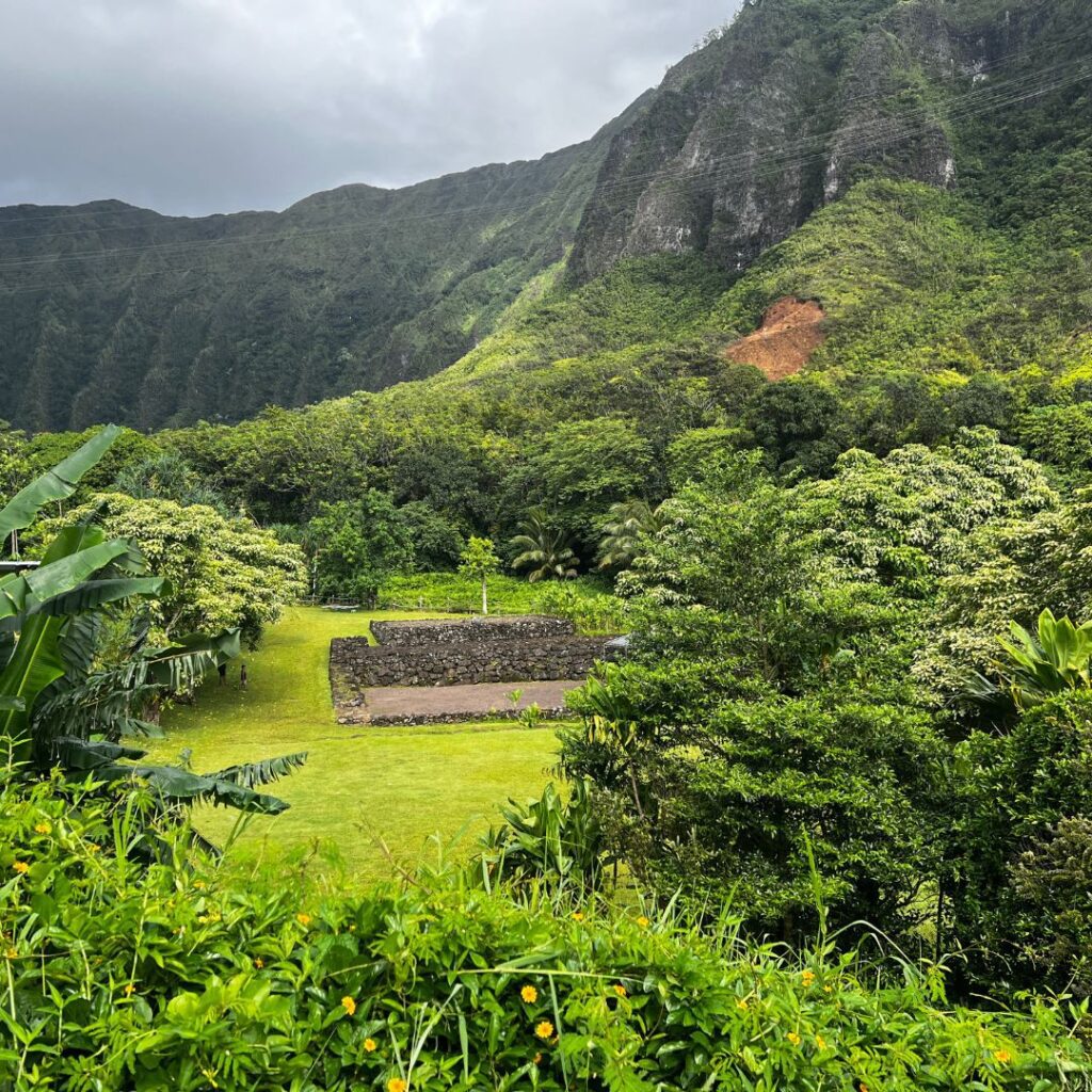 Why Volunteering at Papahana Kuaola Should Be on Your Bucket List Hawaii Calling a green landscape with trees and mountains