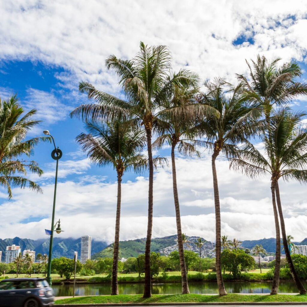 The 23 Best Things To Do In Waikiki |A Local Guide (2025) Hawaii Calling a palm trees by a body of water