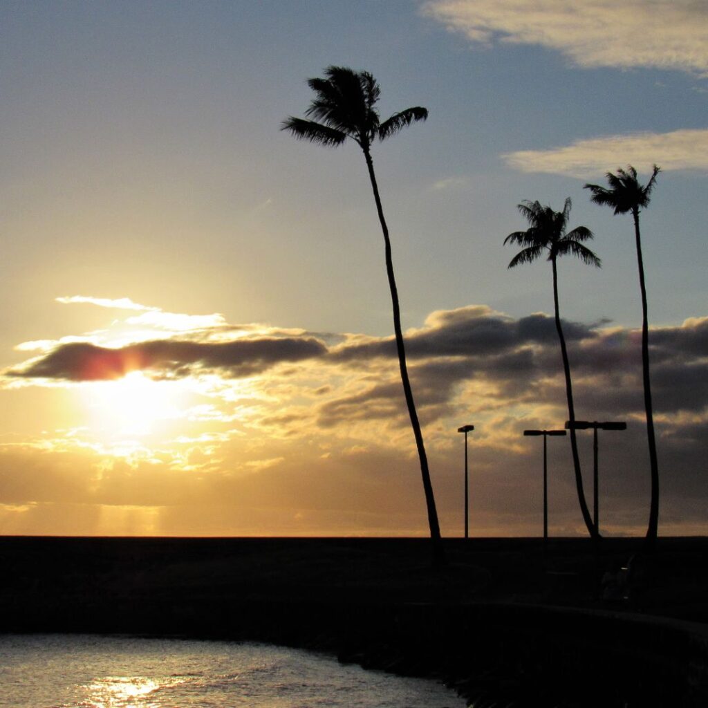 The 23 Best Things To Do In Waikiki |A Local Guide (2025) Hawaii Calling a sunset over a body of water