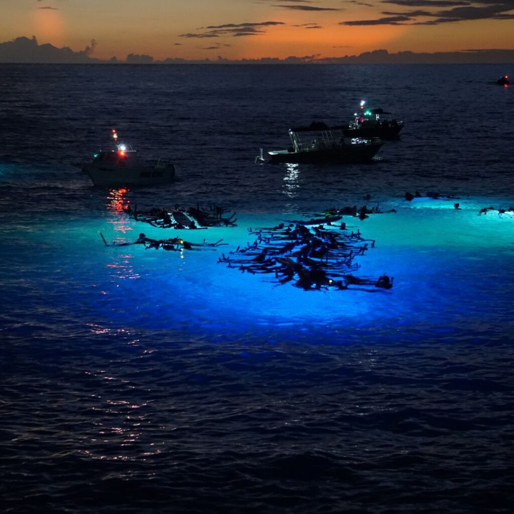 The 49 Best Things To Do In Kona Hawaii Calling boats in the water at night