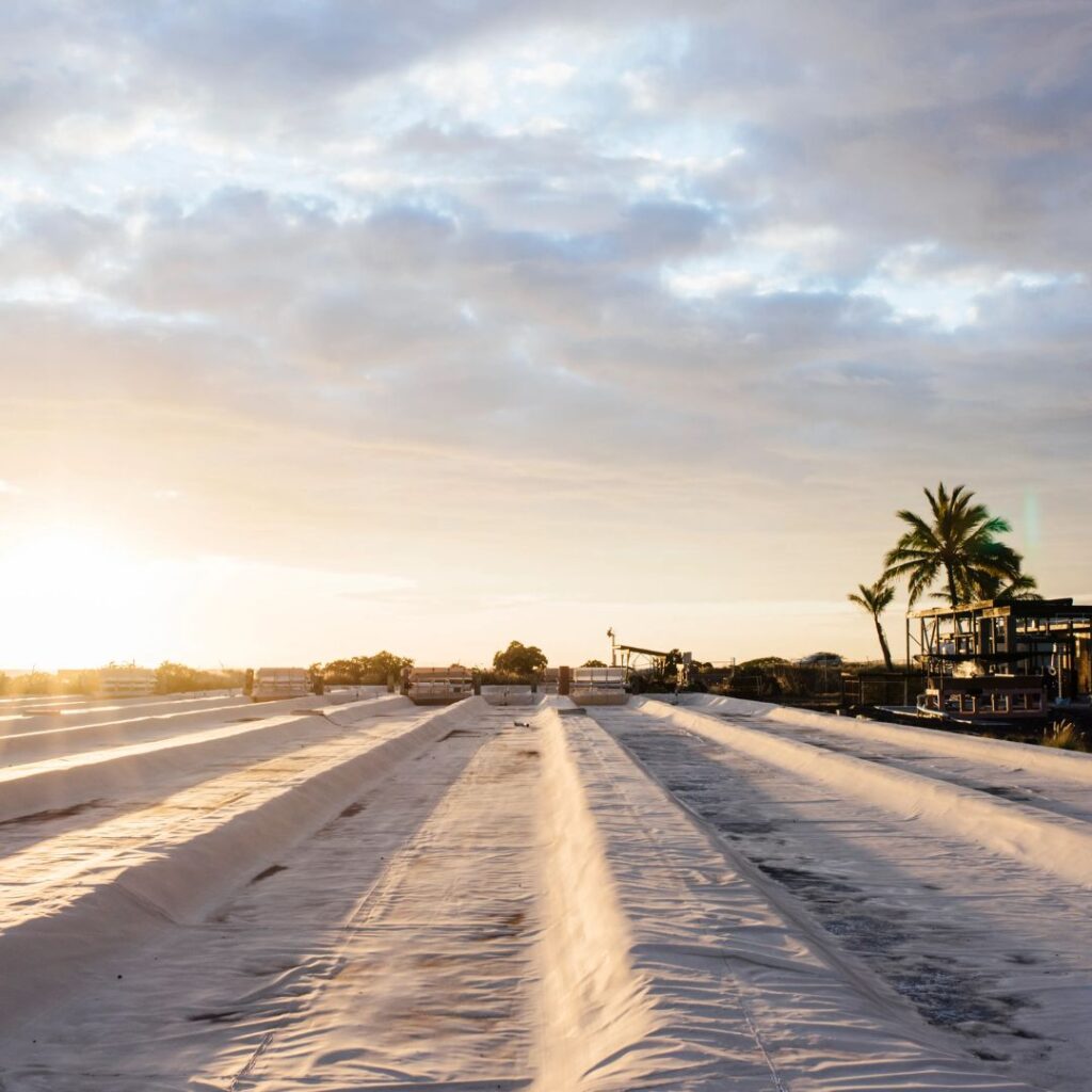 The 49 Best Things To Do In Kona Hawaii Calling a large white covered road with trees and buildings in the background
