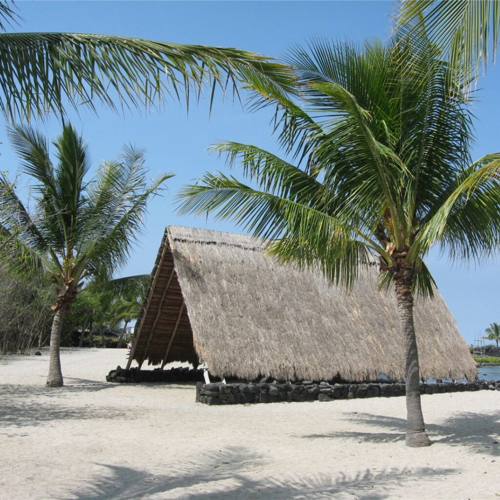 The 49 Best Things To Do In Kona Hawaii Calling a hut on a beach with palm trees