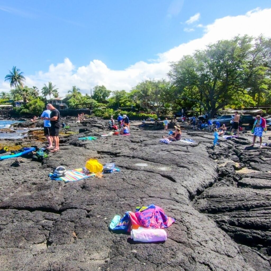 The 49 Best Things To Do In Kona Hawaii Calling a group of people on a rocky beach