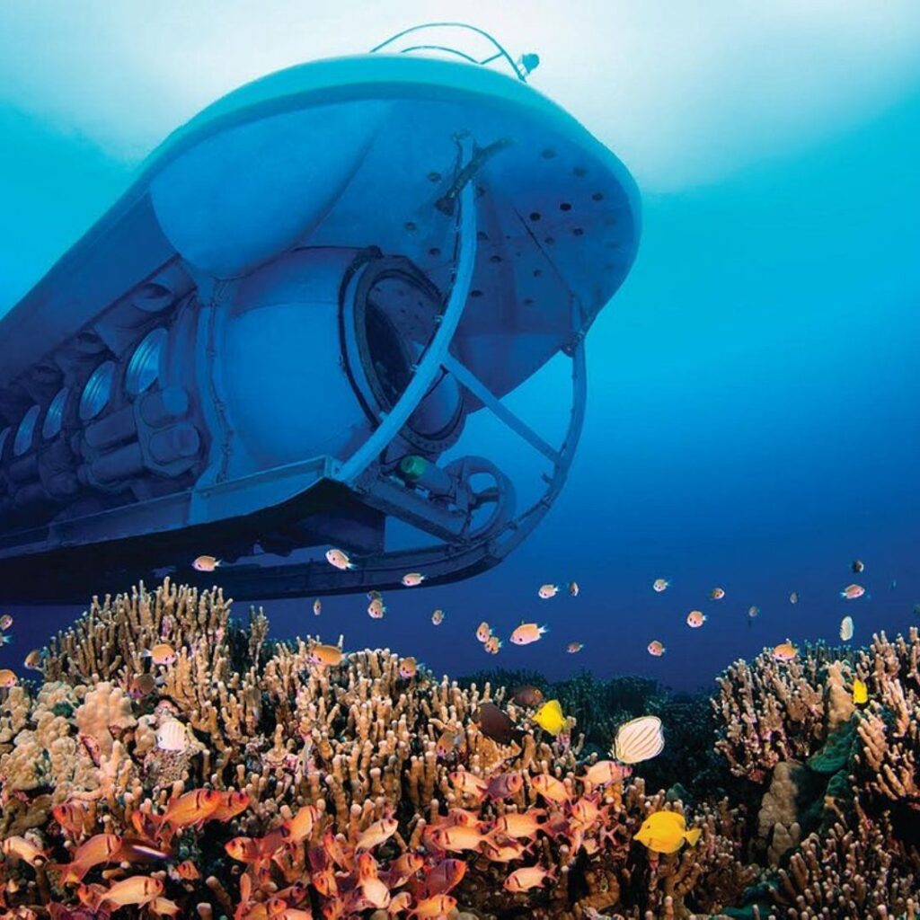 The 49 Best Things To Do In Kona Hawaii Calling a submarine under water with fish and coral