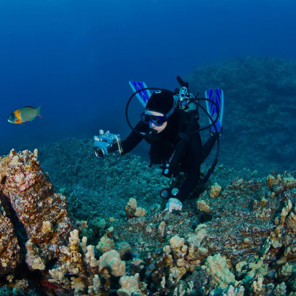 The 49 Best Things To Do In Kona Hawaii Calling a person in scuba gear taking a picture of a fish underwater