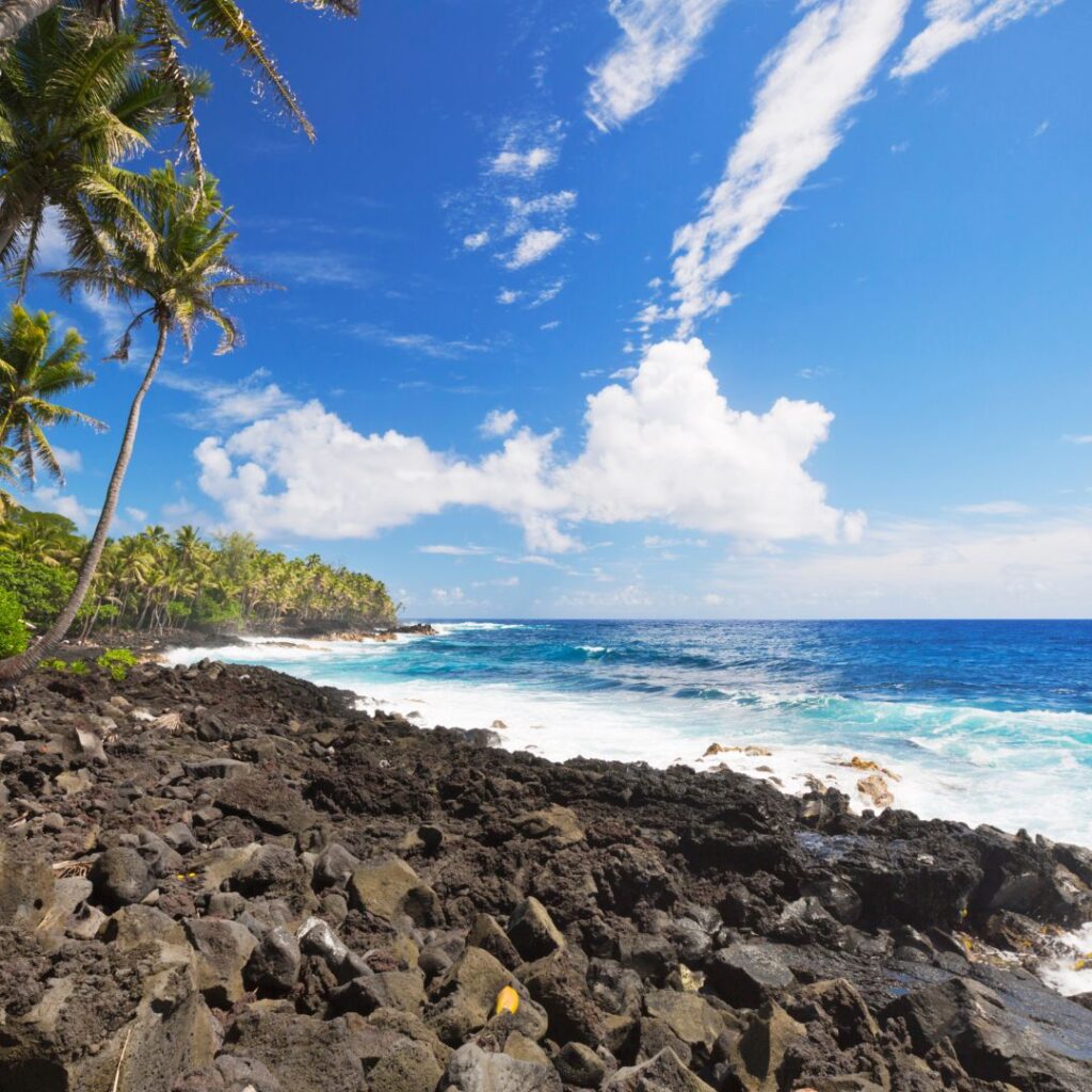 The 49 Best Things To Do In Kona Hawaii Calling a rocky beach with palm trees and blue water