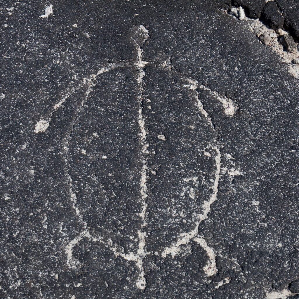 The 49 Best Things To Do In Kona Hawaii Calling a turtle carved in the sand