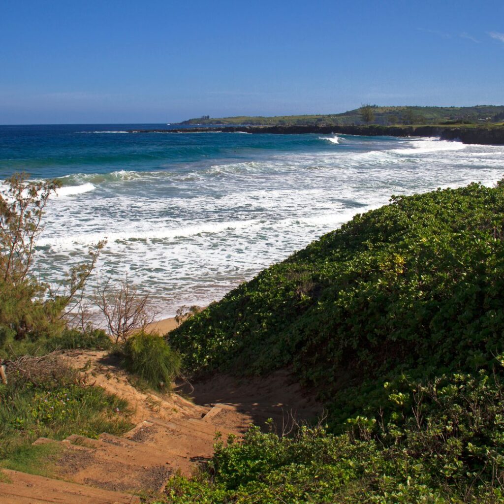 The 26 Best Things To Do On Maui | Bucket List Guide (2025) Hawaii Calling a beach with a sandy path and bushes