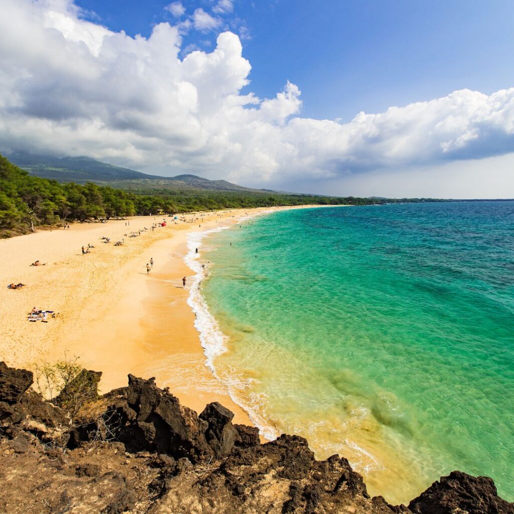 The 26 Best Things To Do On Maui | Bucket List Guide (2025) Hawaii Calling a beach with trees and blue water
