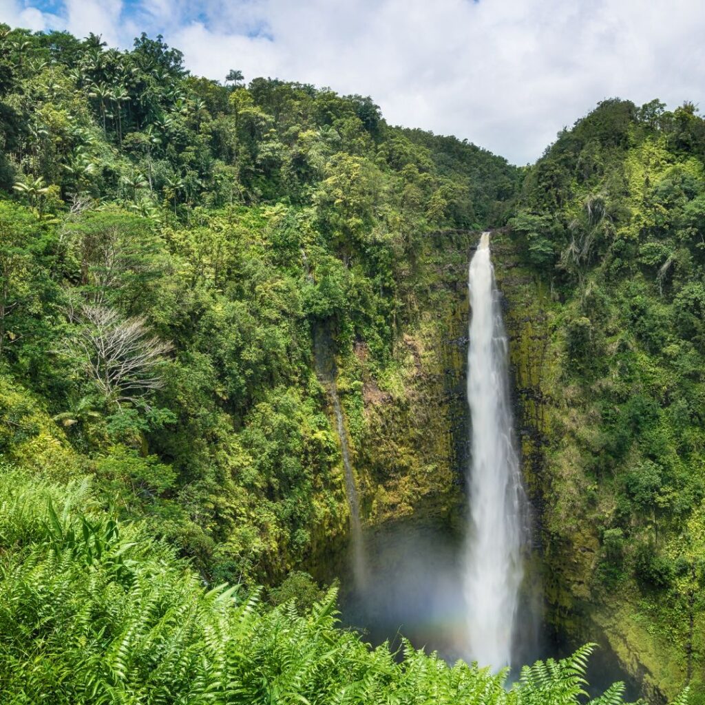 35 Best Things To Do On The Big Island Hawaii Calling Akaka Falls State Park in a forest