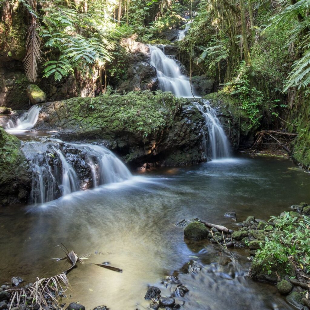 35 Best Things To Do On The Big Island Hawaii Calling a small waterfall in a forest