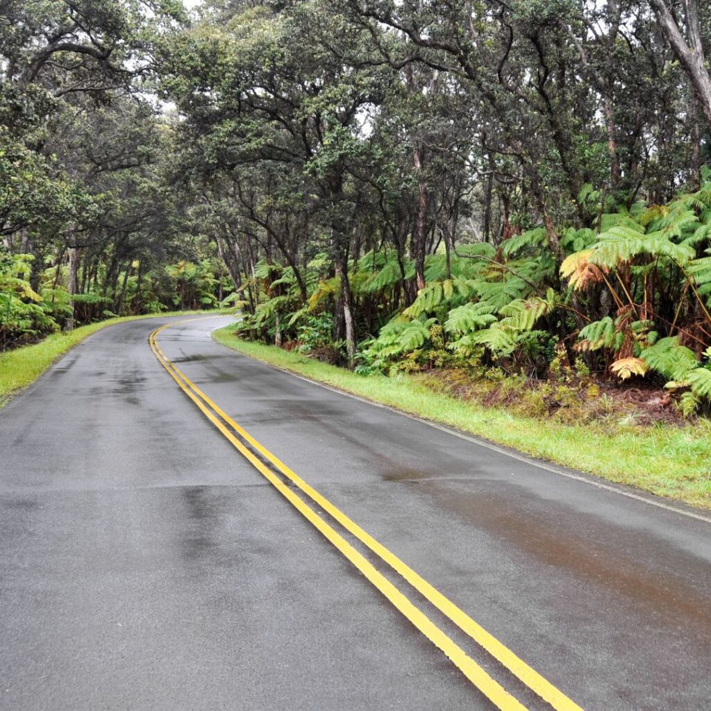 35 Best Things To Do On The Big Island Hawaii Calling a road with trees and bushes