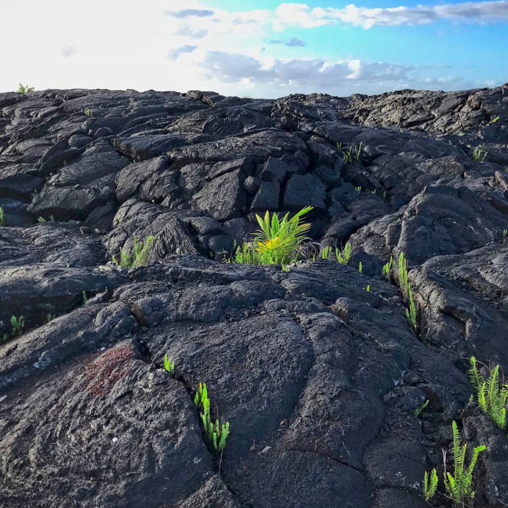 35 Best Things To Do On The Big Island Hawaii Calling a close up of a lava field with Hawaiʻi Volcanoes National Park in the background