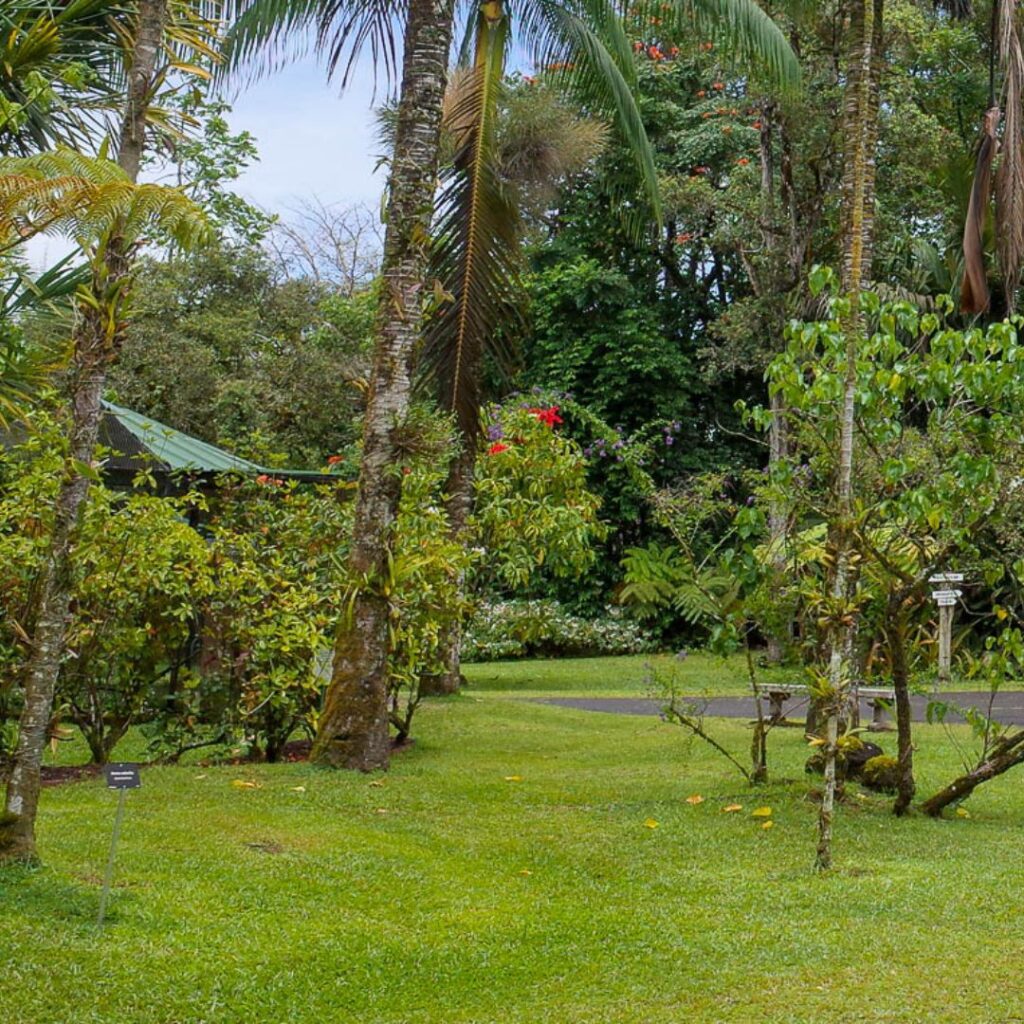 35 Best Things To Do On The Big Island Hawaii Calling a green lawn with trees and bushes