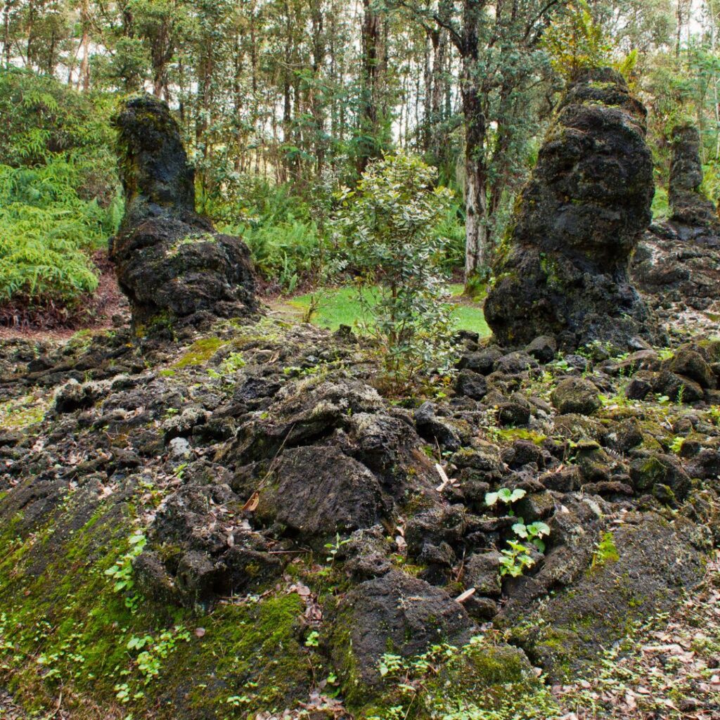 35 Best Things To Do On The Big Island Hawaii Calling a rocky area with trees and plants
