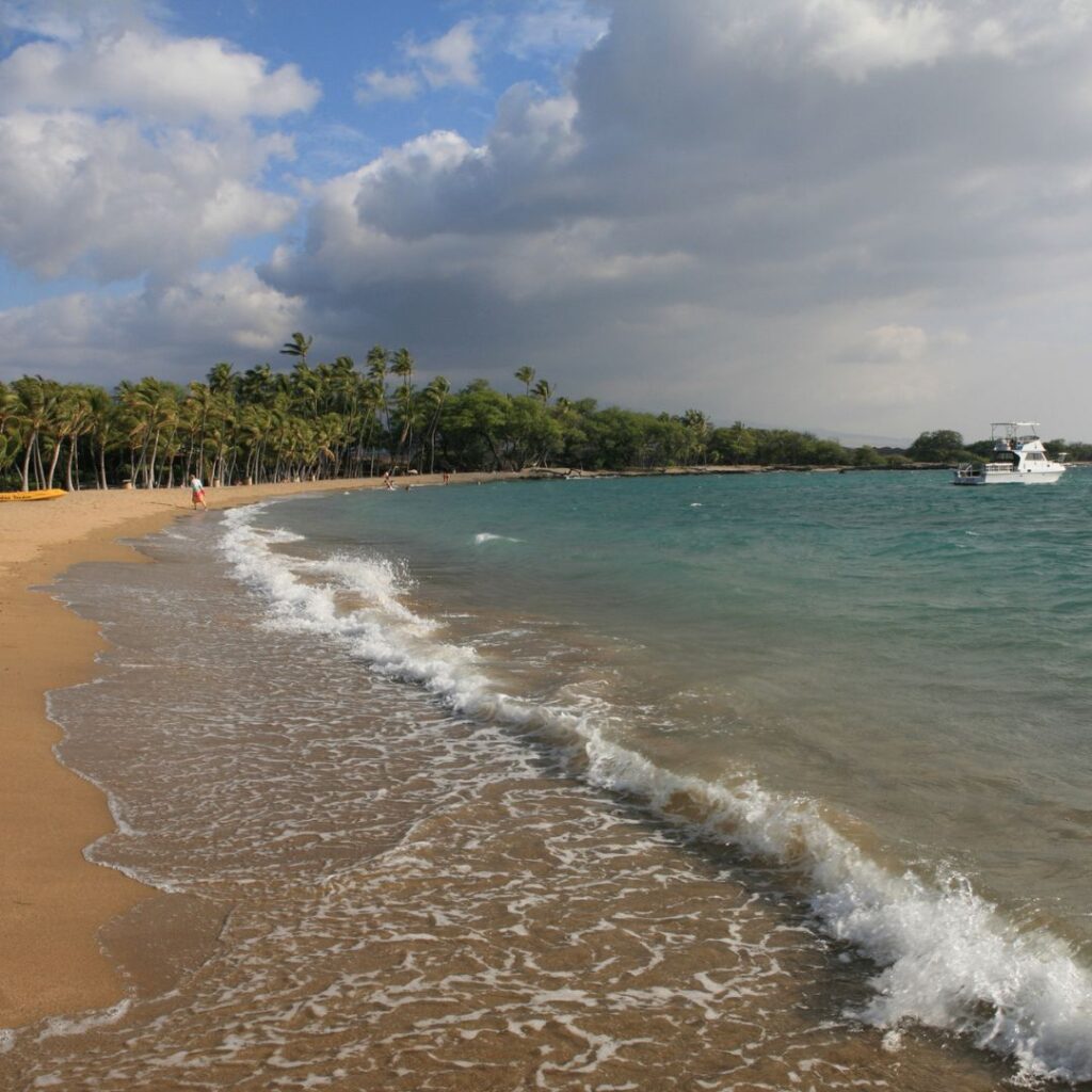 35 Best Things To Do On The Big Island Hawaii Calling a beach with palm trees and a boat