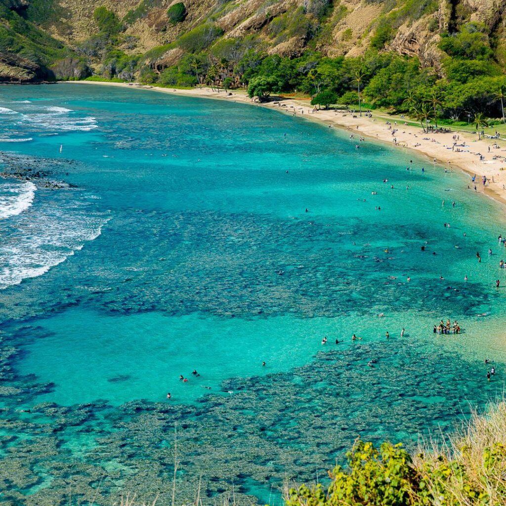 15 Best Snorkel Tours On Oahu | Book These Early Hawaii Calling a beach with people swimming in the water