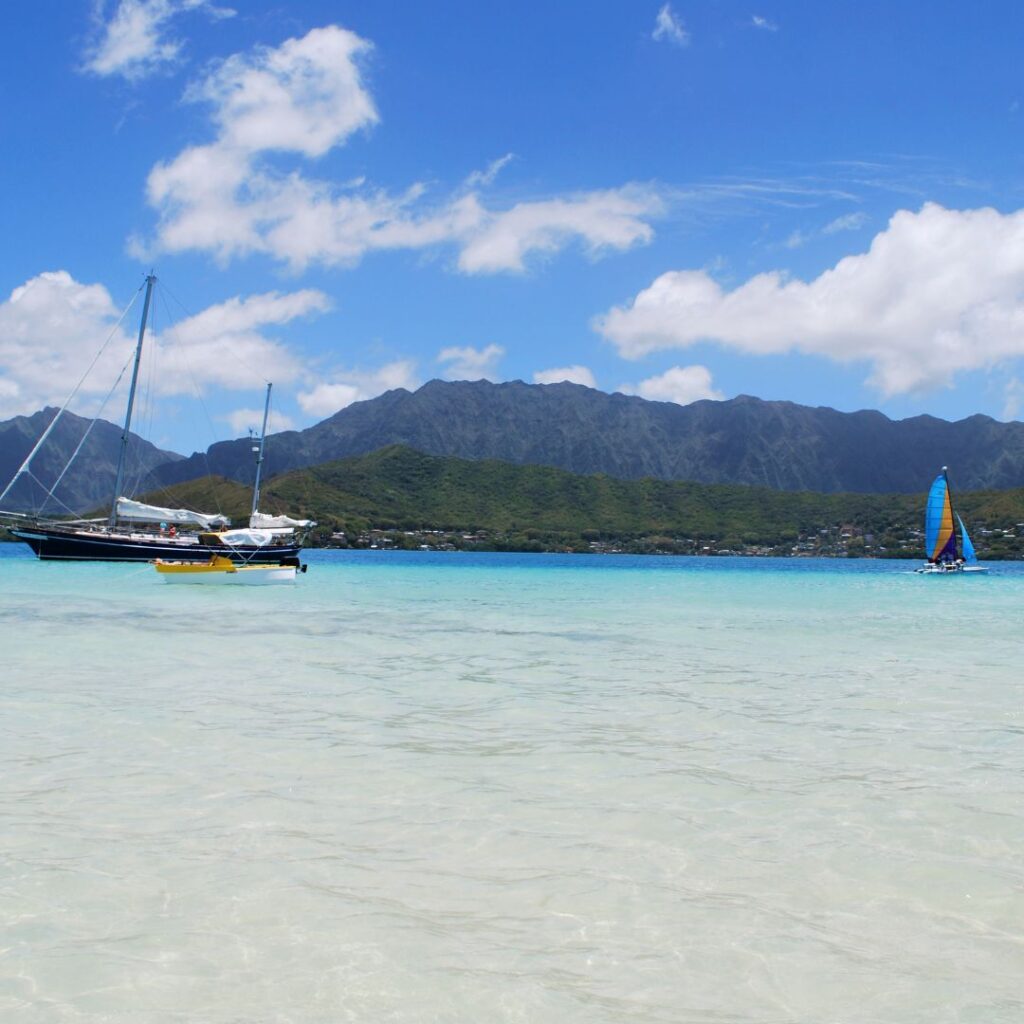15 Best Snorkel Tours On Oahu | Book These Early Hawaii Calling a sailboats in the water