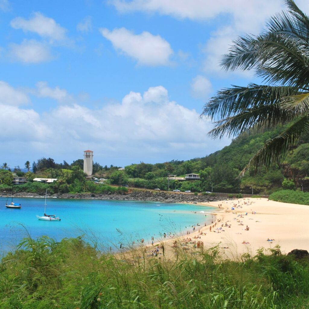15 Best Snorkel Tours On Oahu | Book These Early Hawaii Calling a beach with boats and a palm tree