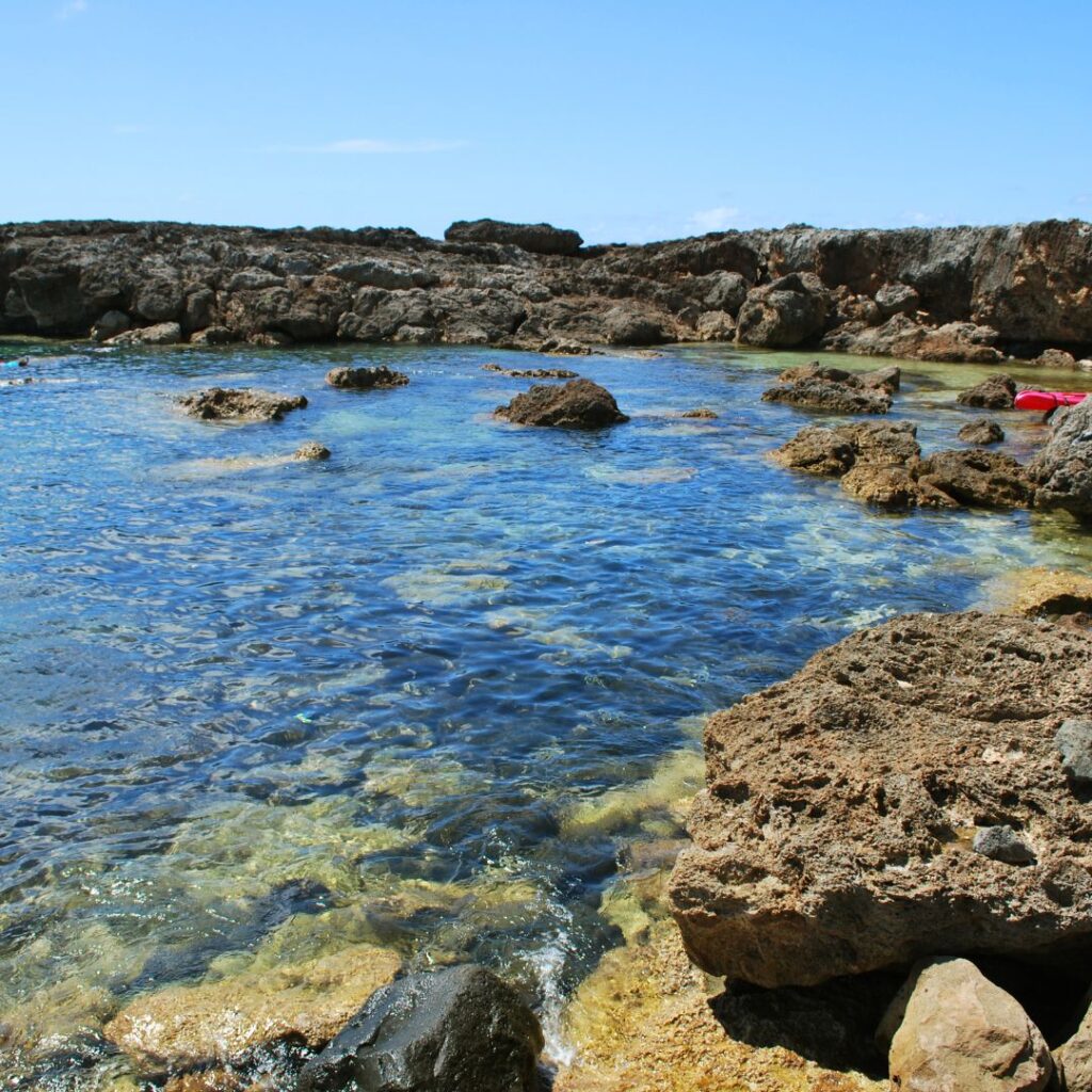 15 Best Snorkel Tours On Oahu | Book These Early Hawaii Calling a body of water with rocks and a red object