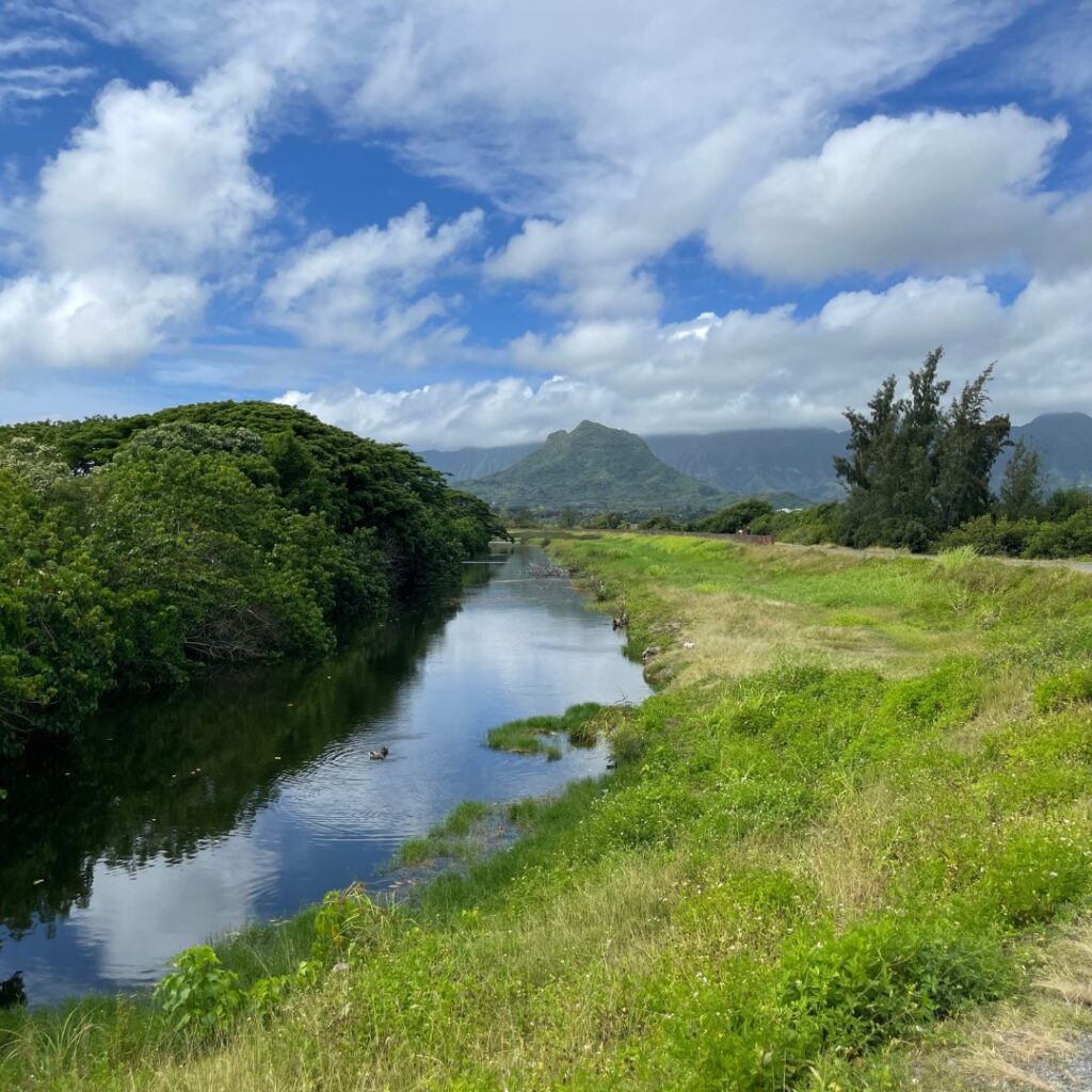 Hui O Ko'olaupoko | Protecting The Ocean By Caring For The Land On Oahu Hawaii Calling a river running through a grassy area