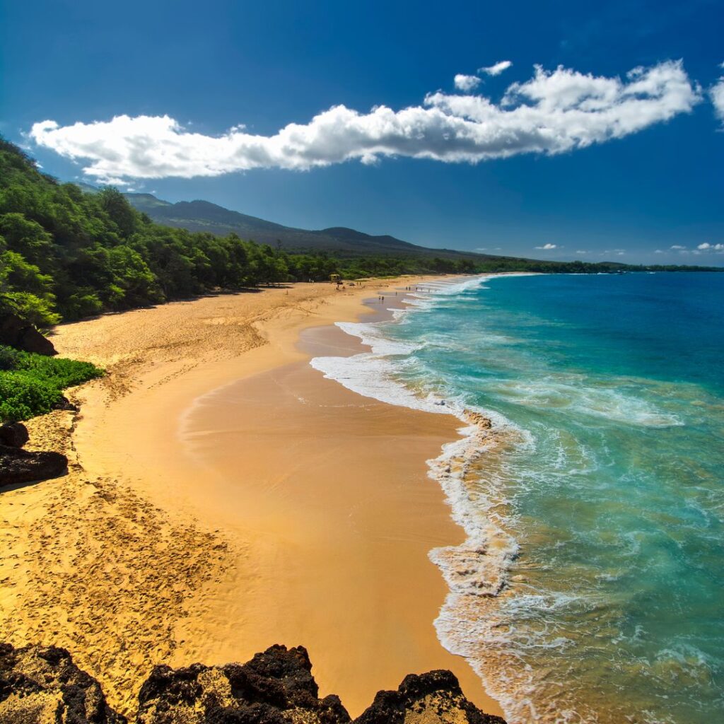 Snorkeling on Maui: The Ultimate Guide To 27 Amazing Spots Hawaii Calling a sandy beach with blue water and trees